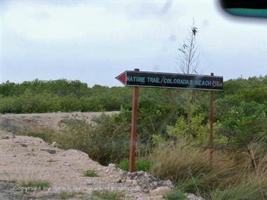 2004 Cuba, Cayo Ensenachos - Trinidad, DSC00891 B_B720